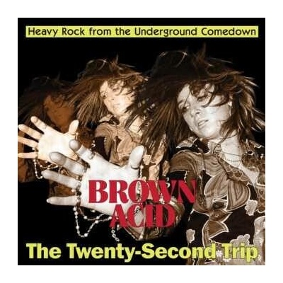 Various - Brown Acid - The Twenty-Second Trip CD