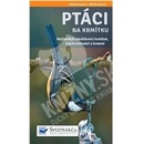 Ptáci na krmítku