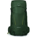 Osprey Kestrel 38l Bonsai Green