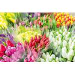 DIMEX ART Флизелинов фототапет пазар за цветя 375 x 250 см
