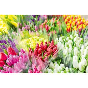 DIMEX ART Флизелинов фототапет пазар за цветя 375 x 250 см
