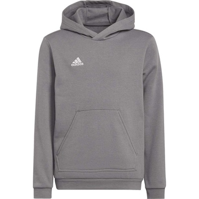 adidas Entrada 22 Sweat Hoodie šedá
