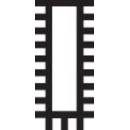 Pferd 11101251