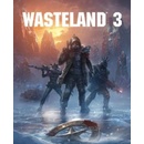 Hry na PC Wasteland 3
