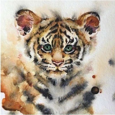 Obraz na plátne Lion 30x30 cm