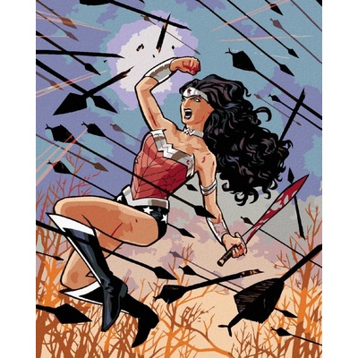Zuty Wonder woman šípy 40×50 cm vypnuté plátno na rám 8596530192572