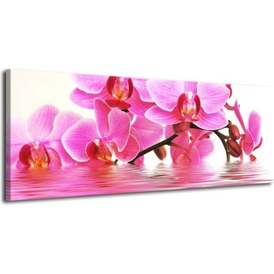 Růžová orchidej plátno 1 100x40