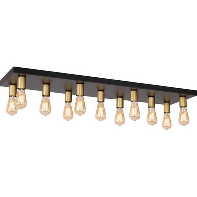 Luminex 1310