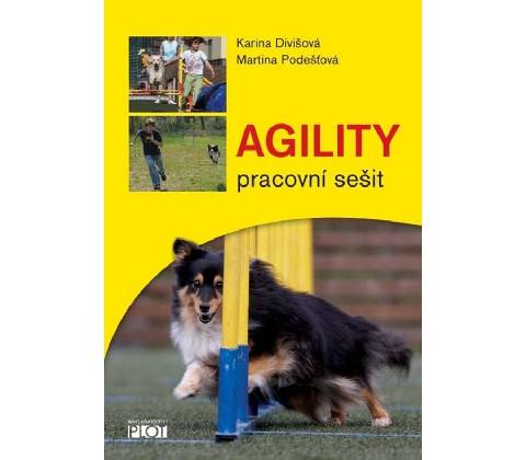 Agility - pracovní sešit