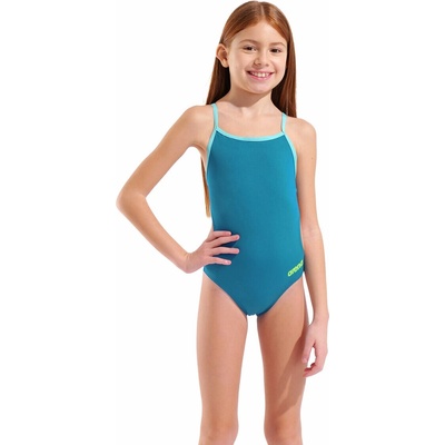 arena TEAM SWIMSUIT CHALLENGE SOLID