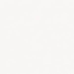 Keros ГРАНИТОГРЕС BARCELONA BLANCO 25x25