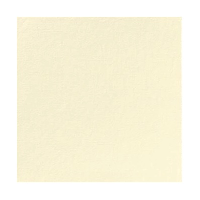DUNI Servítka d-lin 48x48 cm krémová 36 ks