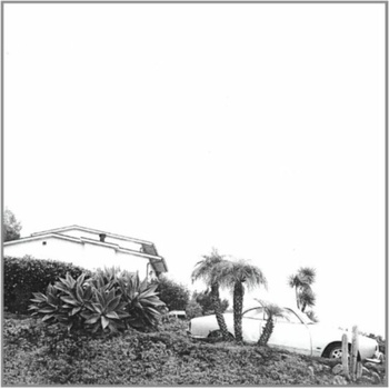 Hot Dreams Timber Timbre