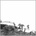 Hot Dreams Timber Timbre