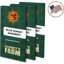 Barney's Farm Blue Sunset Sherbert semena neobsahují THC 10 ks