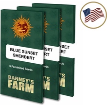 Barneys Farm Blue Sunset Sherbert semena neobsahují THC 3 ks