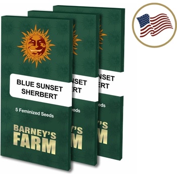 Barney's Farm Blue Sunset Sherbert semena neobsahují THC 10 ks