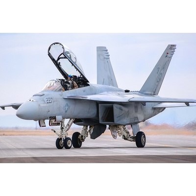 Hornet Hobby Boss Boeing F/A-18F Super 1:48
