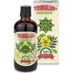 Cvetita Herbal Tribulus + Ginkgo, 100 ml, Cvetita Herbal