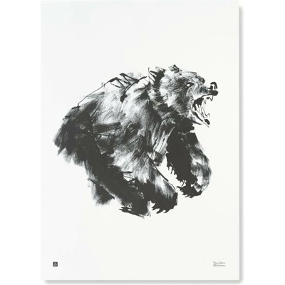 Teemu Järvi Plagát s motívom medveďa Roaring bear 50x70