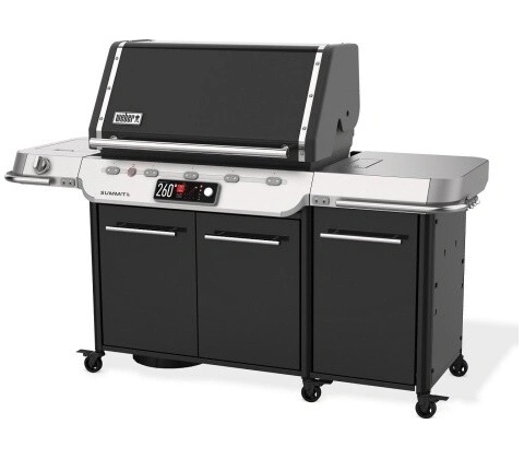 WEBER Summit FS38X