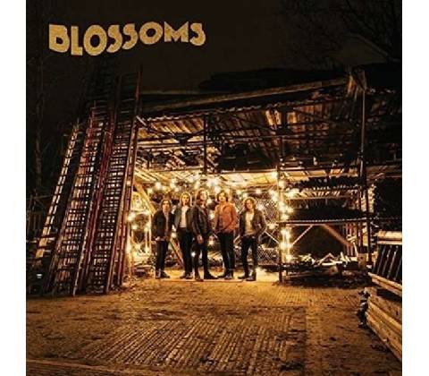 BLOSSOMS: BLOSSOMS CD