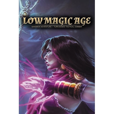 Low Magic Studios Low Magic Age (PC)