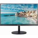 Hikvision DS-D5022FN-C