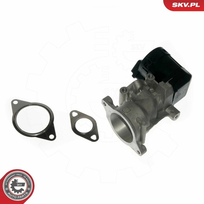 AGR-Ventil ESEN SKV 14SKV057