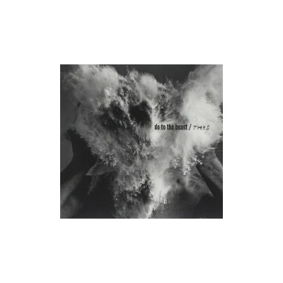 THE AFGHAN WHIGS - Do To The Beast