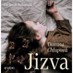 Multiland Chlupová Danuta: Jizva - CD (MP3) (054024)