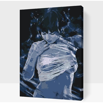 Vymalujsisam.cz Malování podle čísel Roztrhané tričko Velikost 40 x 60 cm Rámování Na kartonové desce