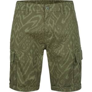 O'Neill Park cargo short 30