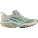 Salomon Trailová obuv Sense Ride 5 W 472123