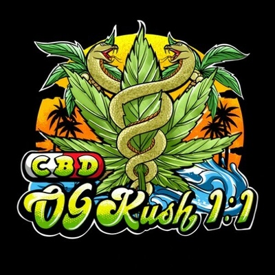 Sumo Seeds CBD OG Kush 1:1 semienka neobsahujú THC 3 ks