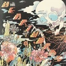 SHINS: HEARTWORMS LP