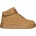 Lotto DELCIE 36