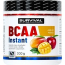 Survival BCAA Instant 300 g