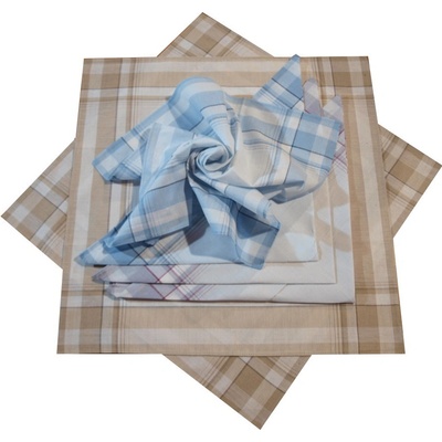 Etex Pánské látkové kapesníky bavlněné 6ks