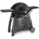 Weber Q 3200