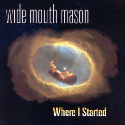 WIDE MOUTH MASON - WHERE I STARTED LP