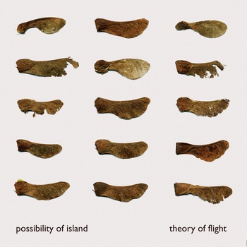 possibility of island - theory of flight (27658ea9-b915-4efa-9413-b7f3d1234728)