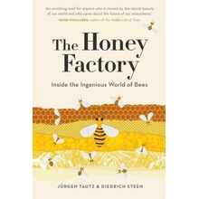 Honey Factory: Inside the Ingenious World of Bees