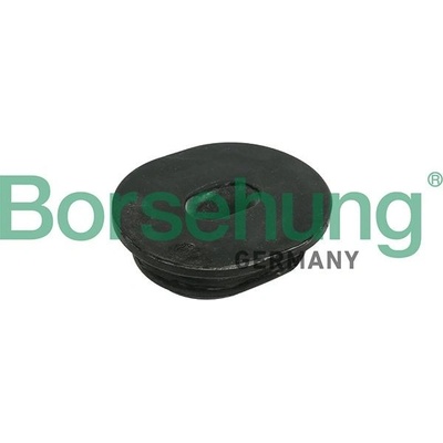 Držák chladiče Borsehung B11362