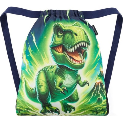Bagmaster City Bag Lumi 25 C Dinosaur