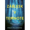 Záblesk v temnote - Stacy Willingham