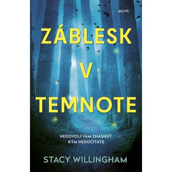 Záblesk v temnote - Stacy Willingham