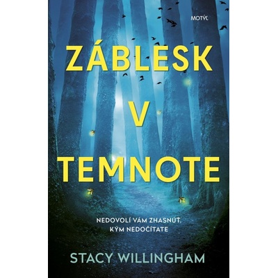 Záblesk v temnote - Stacy Willingham