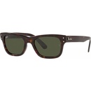 Ray-Ban RB2283 902/31