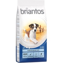 Briantos Junior Young & Fit 2 x 14 kg